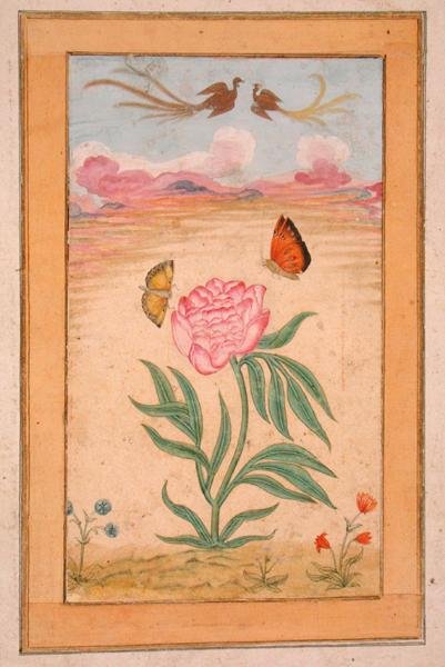 Blommande växter med paradisfåglar och fjärilar, från Small Clive Album (gouache på pergament) av School Mughal