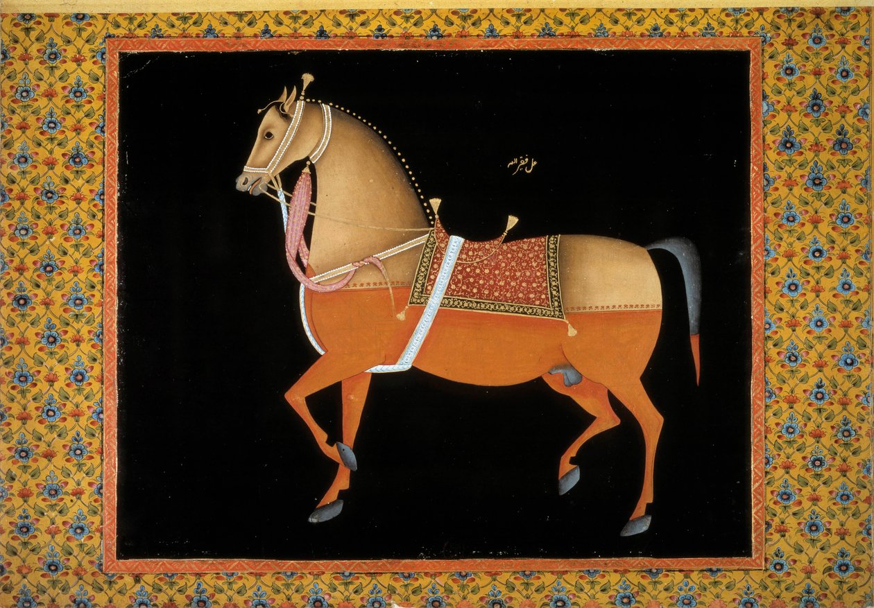 Mogholkonst: representation av en hingst. 1700-tals gouache. Paris, B.N. av School Mughal