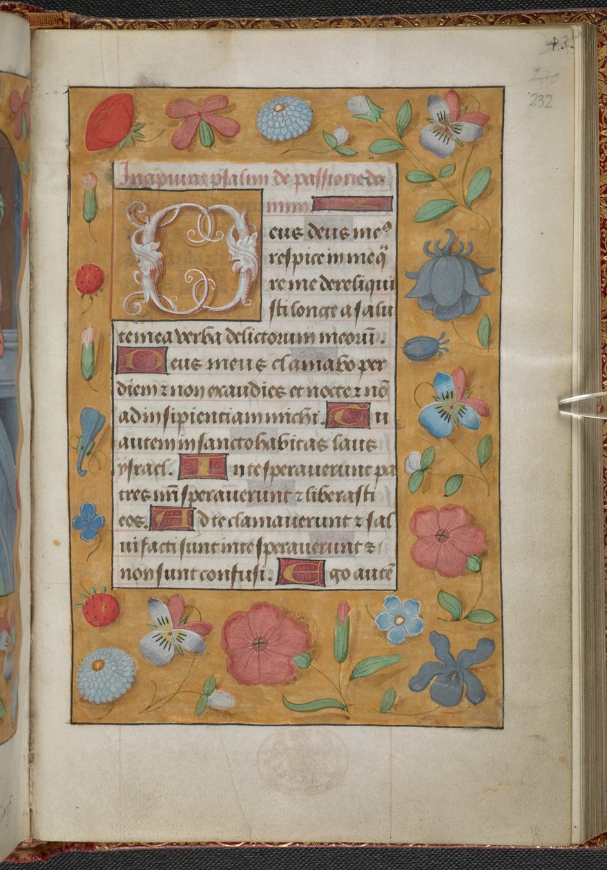 Kings 9, f.232r, Timbok, Use of Sarum ("Anne Boleyns Timbok") (pergament) av School Netherlandish