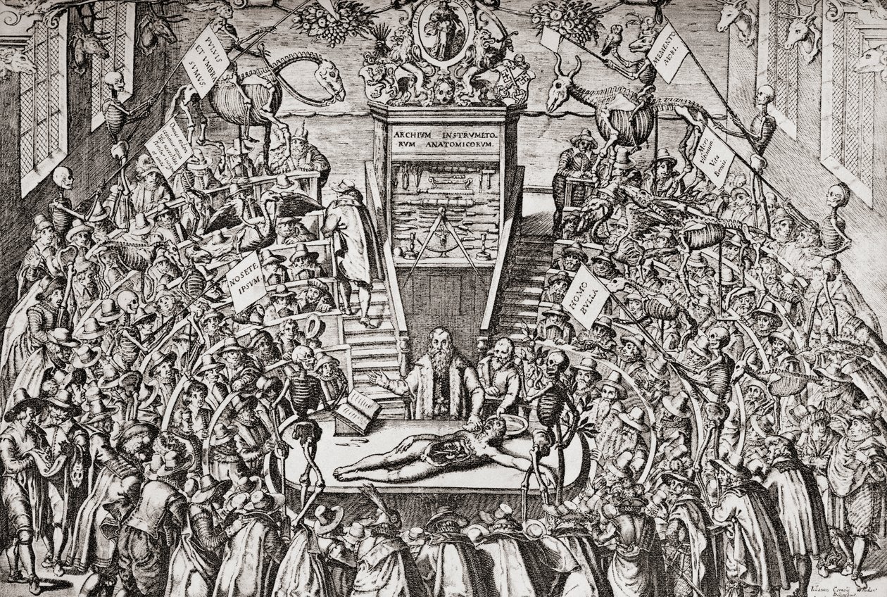 Studenter på en anatomilektion vid universitetet i Leiden, från "Geschiedenis van Nederland", pub. 1936 (tryck) av School Netherlandish