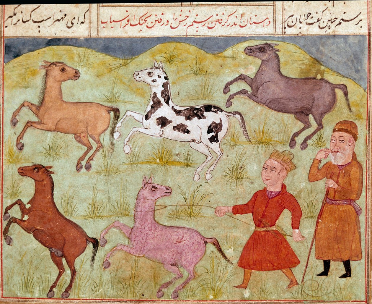Islamisk konst: En herre och hans bondpojke fångar vilda hästar i lasso. Persisk miniatyr från ett manuskript av den episka dikten "Shahnameh"" (Shah Nama, Shahnama) (Kungarnas bok) av Ferdowsi (Firdawsi, eller Ferdawsi, eller Firdousi, ca 940-cirka 1020)  av School Persian