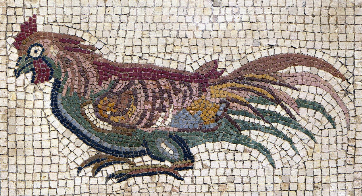 Flerfärgad tupp från marken till en romersk villa i Tunisien (mosaik) av School Roman