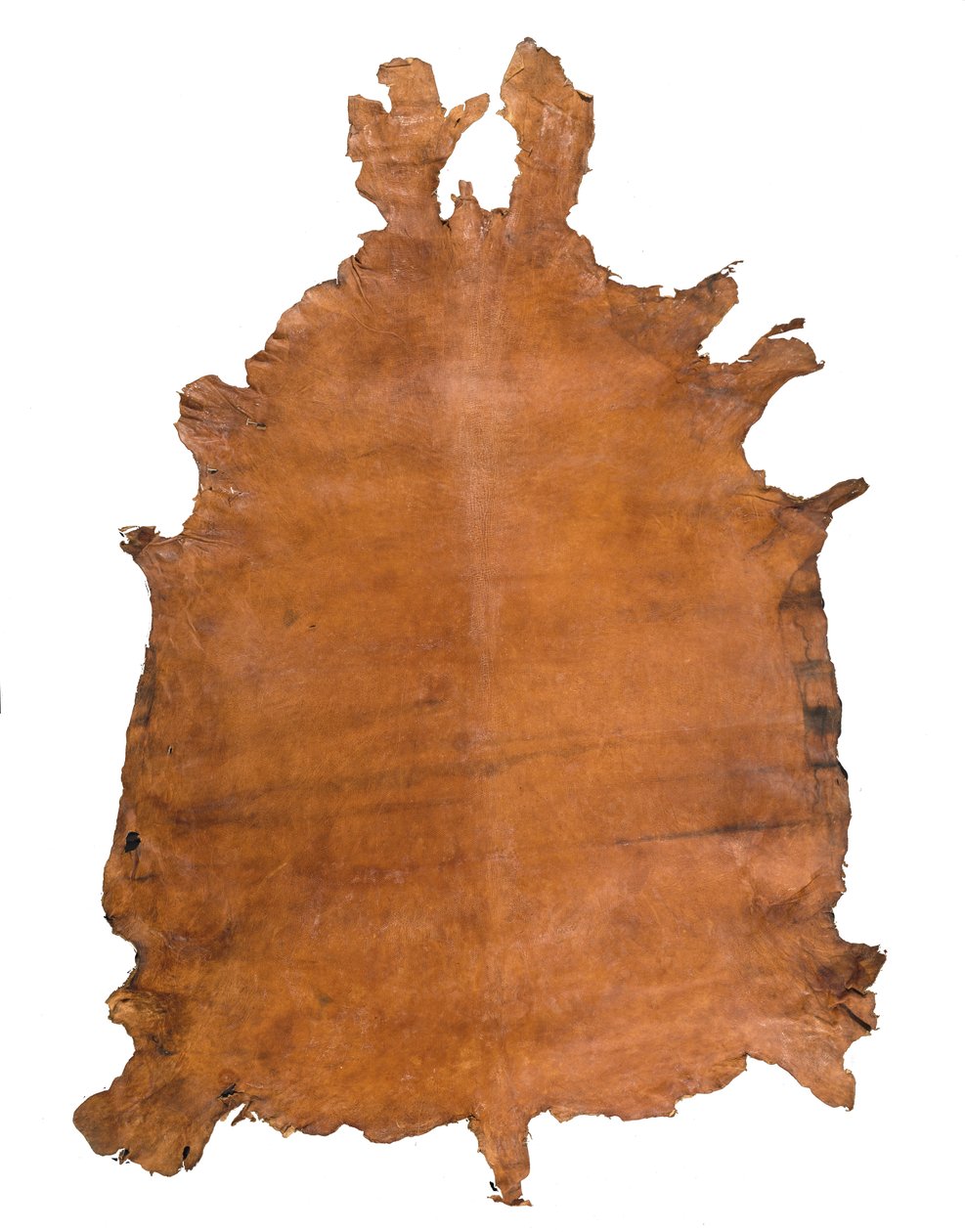 Djurskinn, ca. 1786 (läder) av School Russian