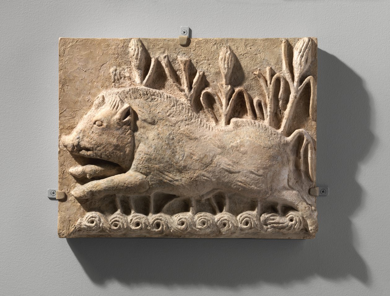 Väggpanel med en laddningsgalt, ca 500-talet e.Kr. (stuckatur) av School Sasanian