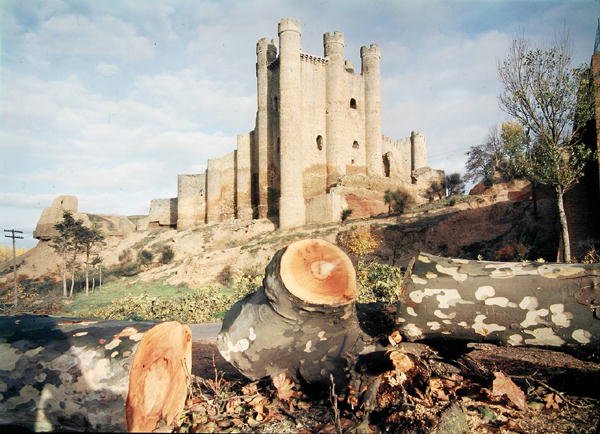 Castillo de Coyanza, byggt på 1300-1500-talet av grevarna av Valencia (foto) av School Spanish