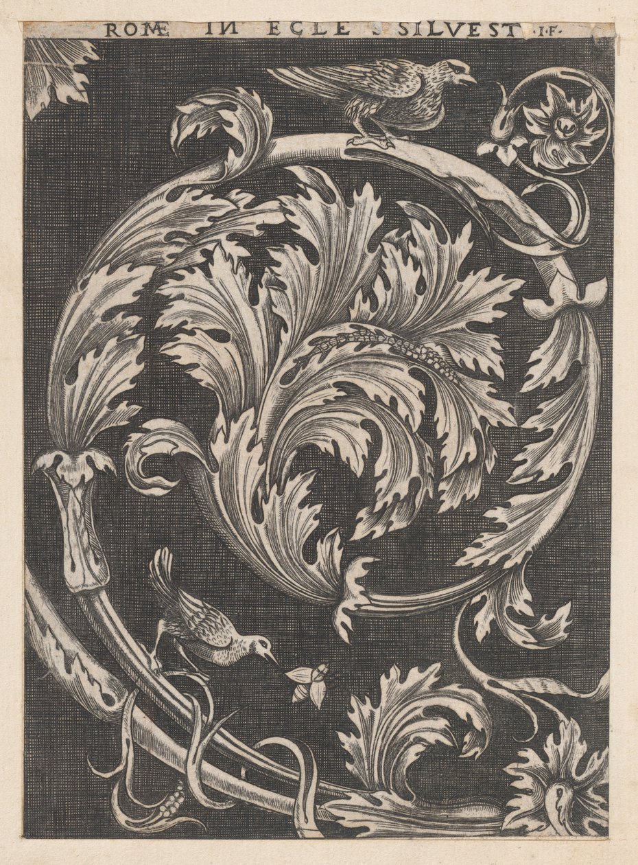 Mirror of Roman Magnificence: Ornamentellt bladverk från kyrkor, 1500-talet., 1500-talet. av School of Raphael