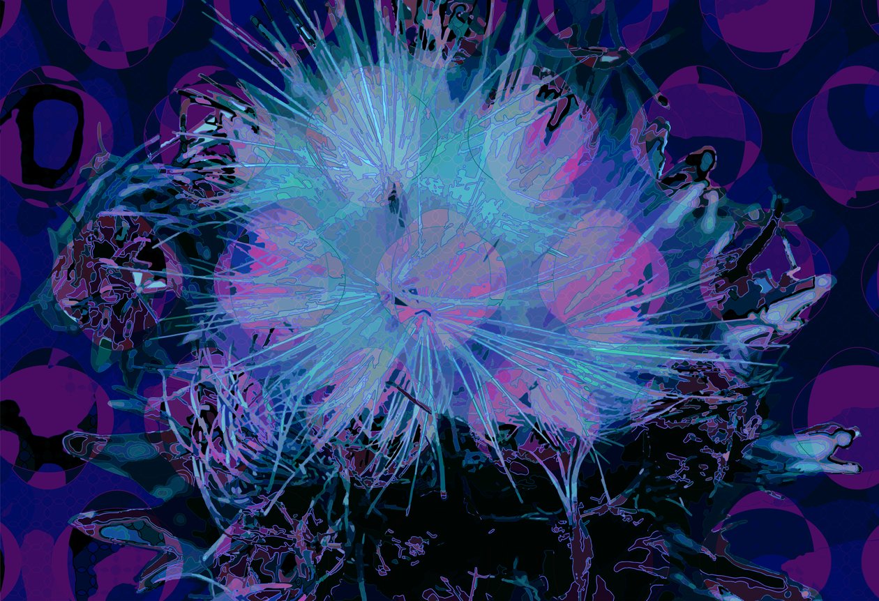 Kronärtskocka (digital) av Scott J. Davis