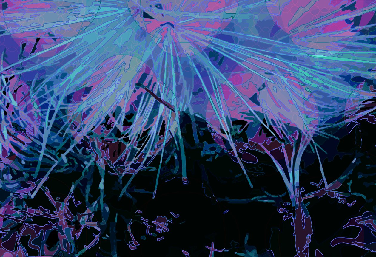 Kronärtskocka_abst_horz1 (digital) av Scott J. Davis