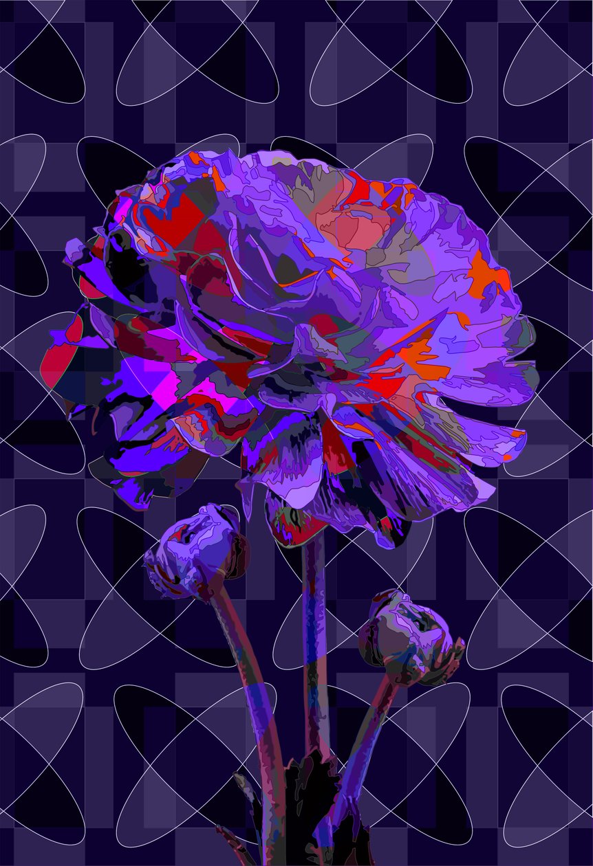 Nejlika 2, 2019 av Scott J. Davis