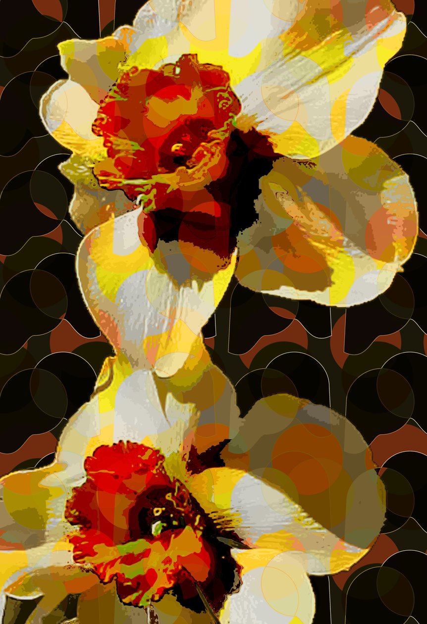 Påsklilja (digital) av Scott J. Davis