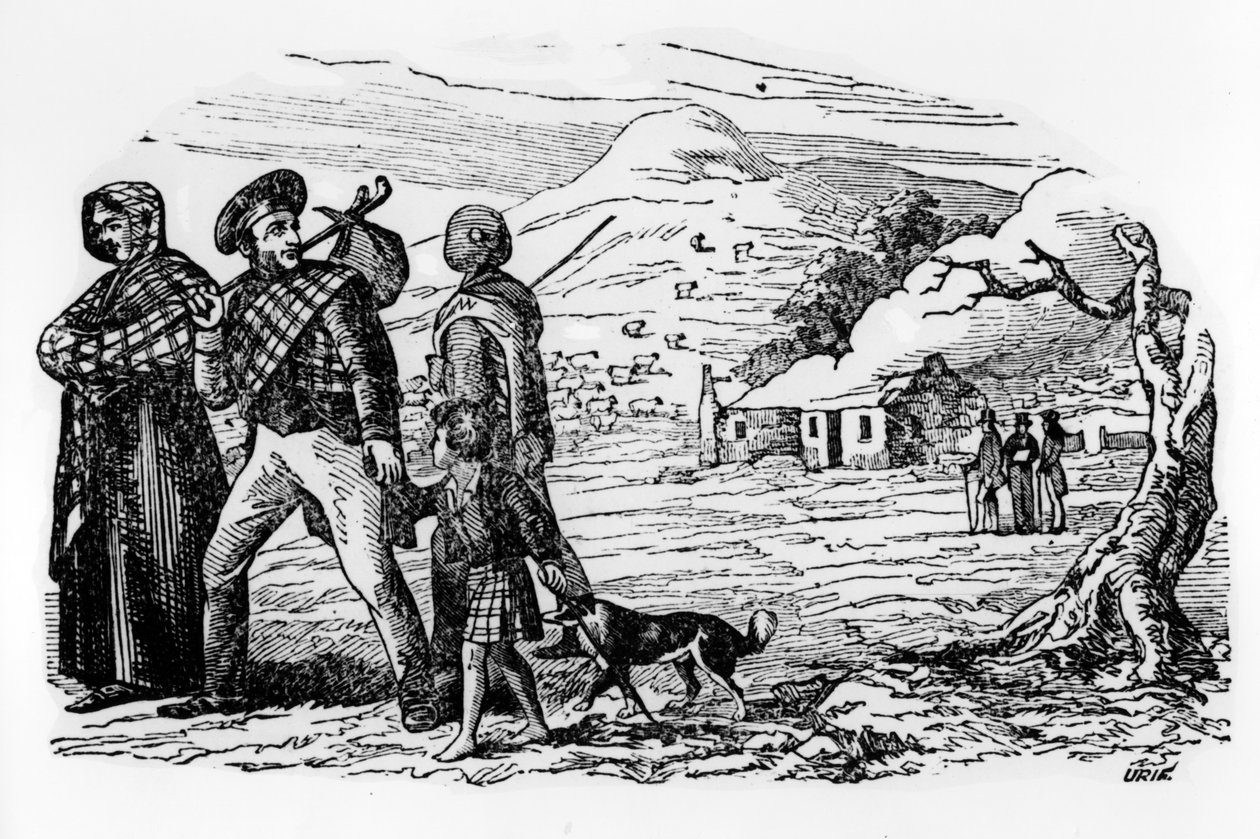 Hemlösa skottar av Scottish School