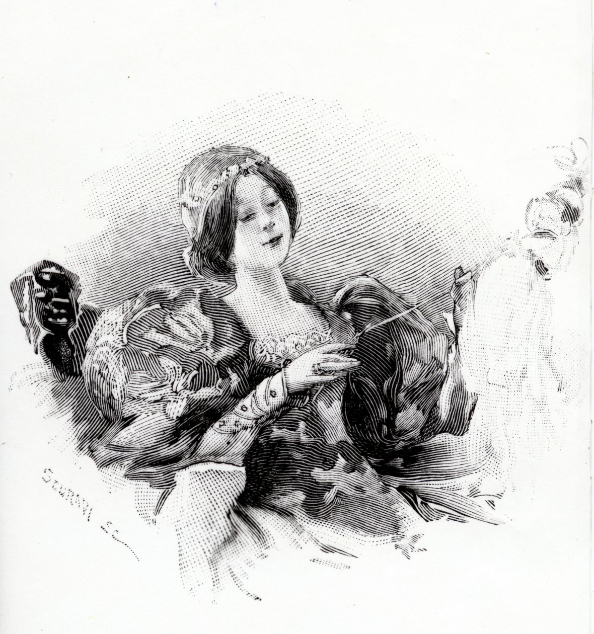 Törnrosa, illustration från 