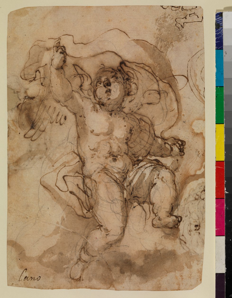 Putto på ett moln (recto) av Sebastian (attr.to) Munoz