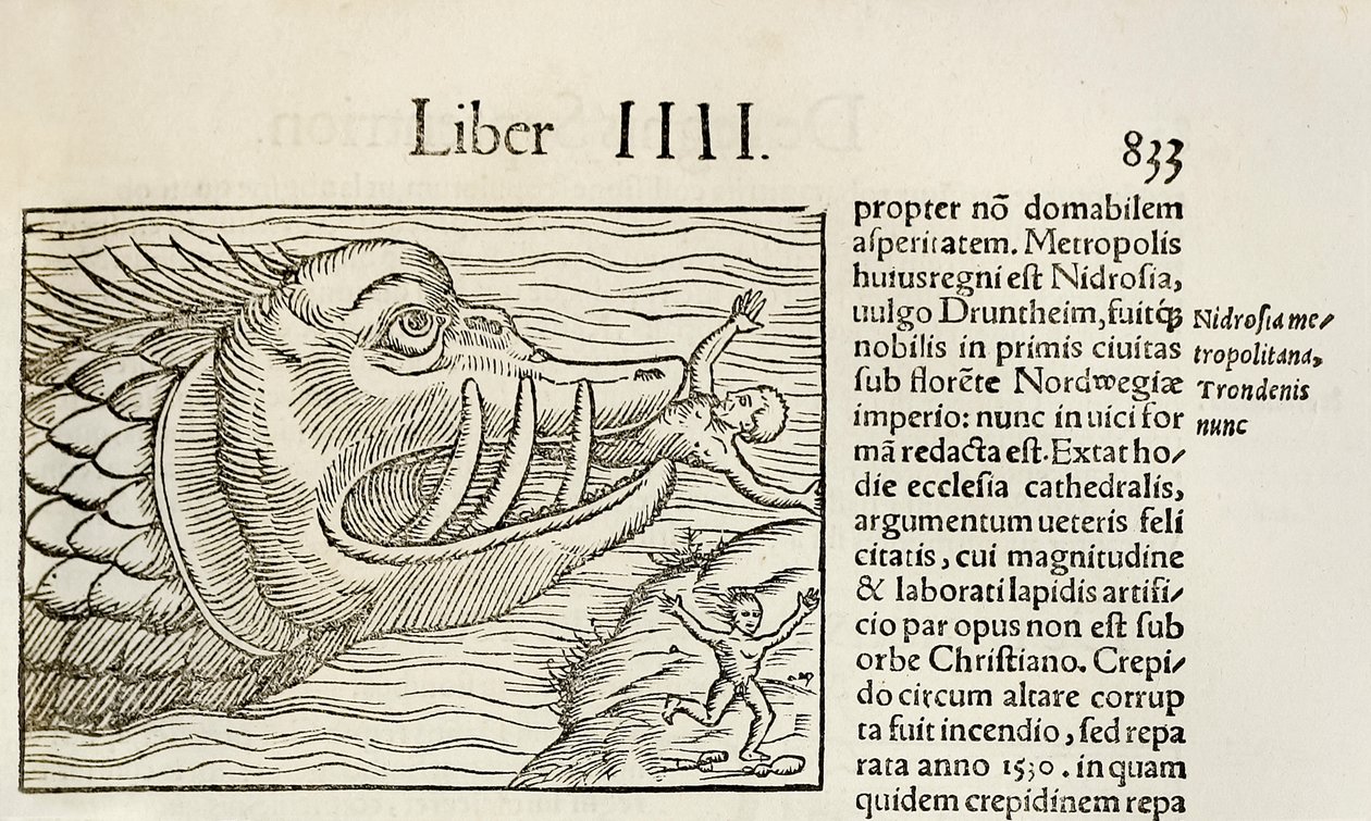 Monstruös val som slukar människor, från 1550 års upplaga av 