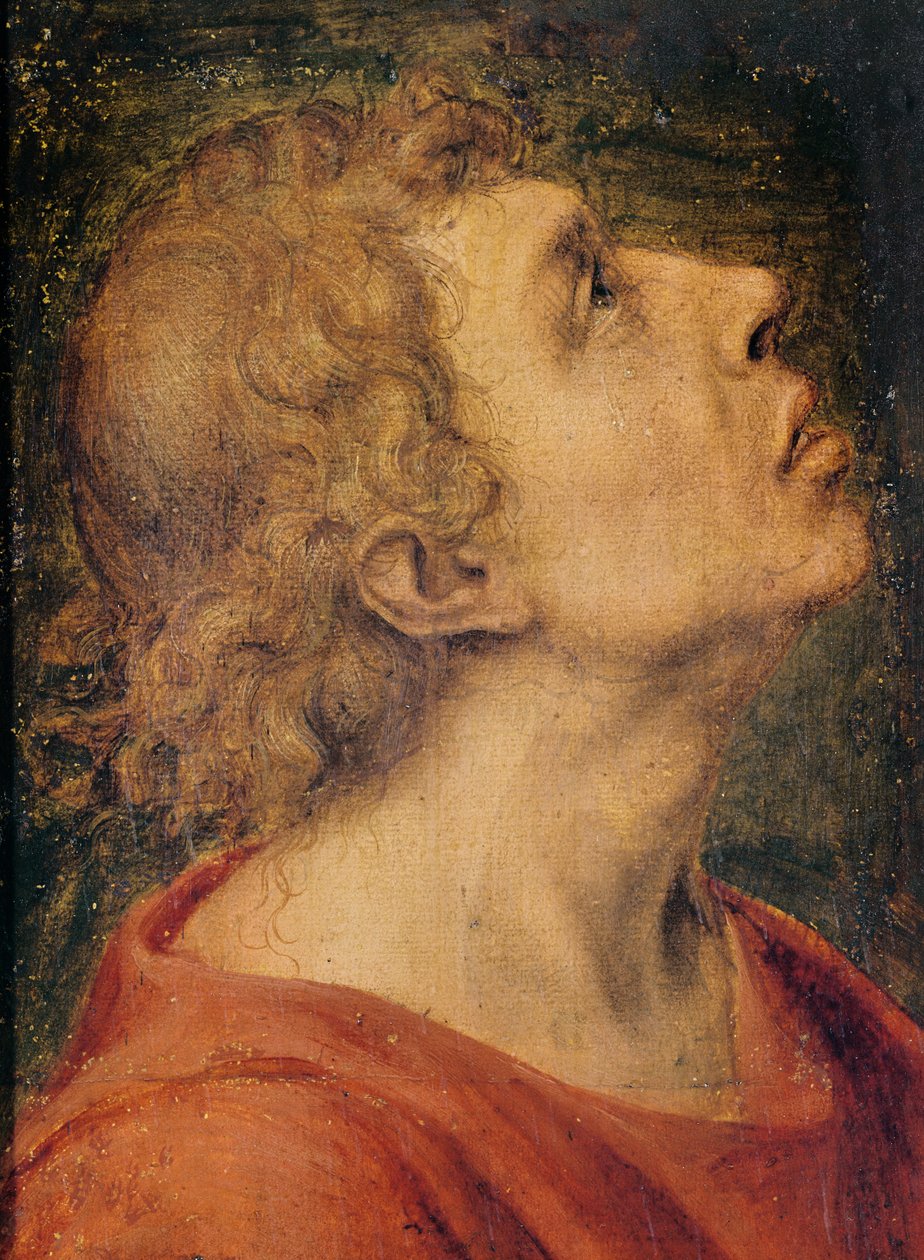Sankt Johannes evangelisten (olja på trä) av Sebastiano del Piombo