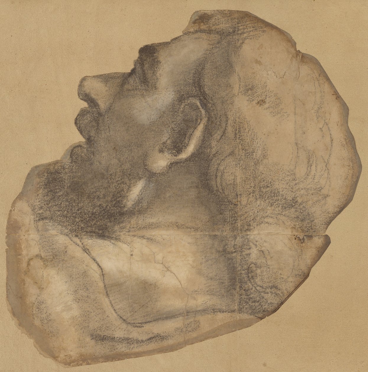 Teckning för Sankt Jakobs huvud av Sebastiano del Piombo