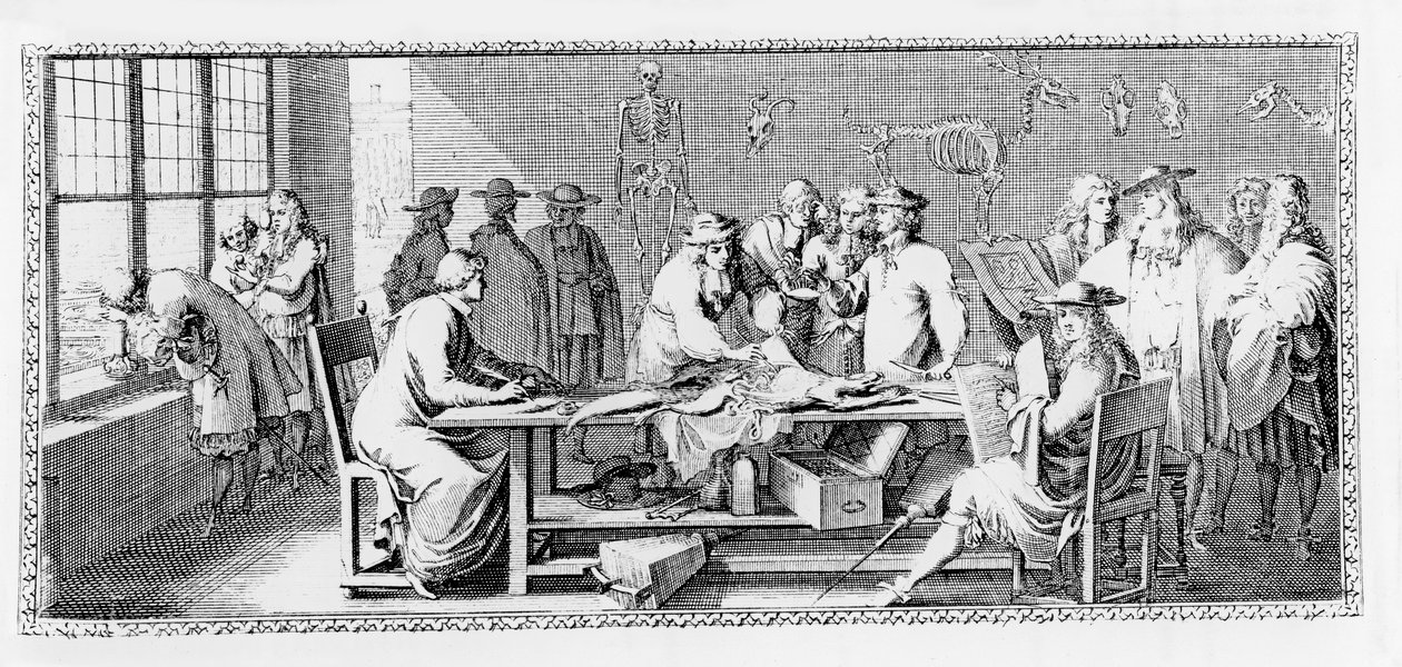 The Anatomy Lesson, (Dissektion vid Jardin des Plantes) från 
