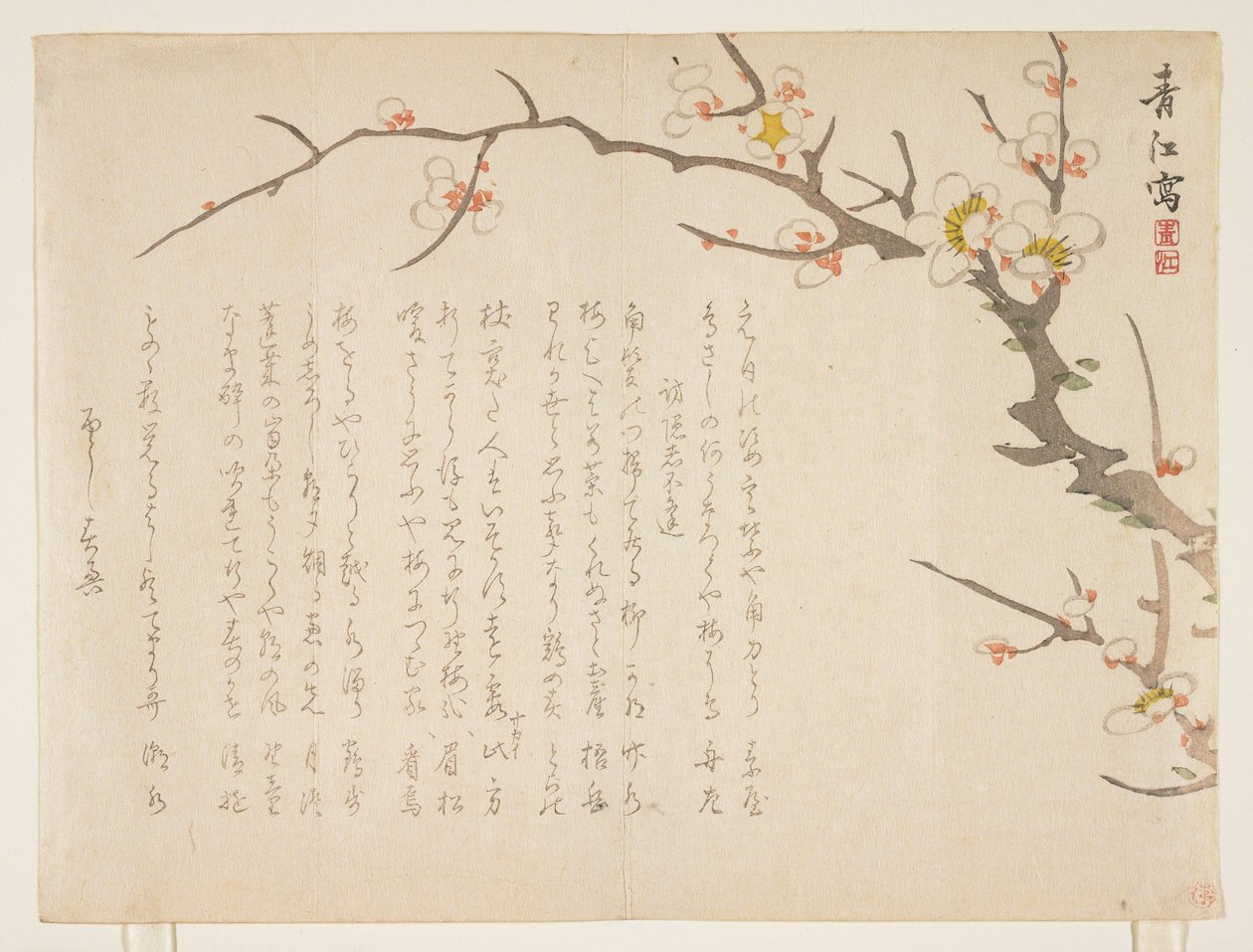 Blommande plommon, januari 1837 (träblock i färg) av Seik Hashimoto