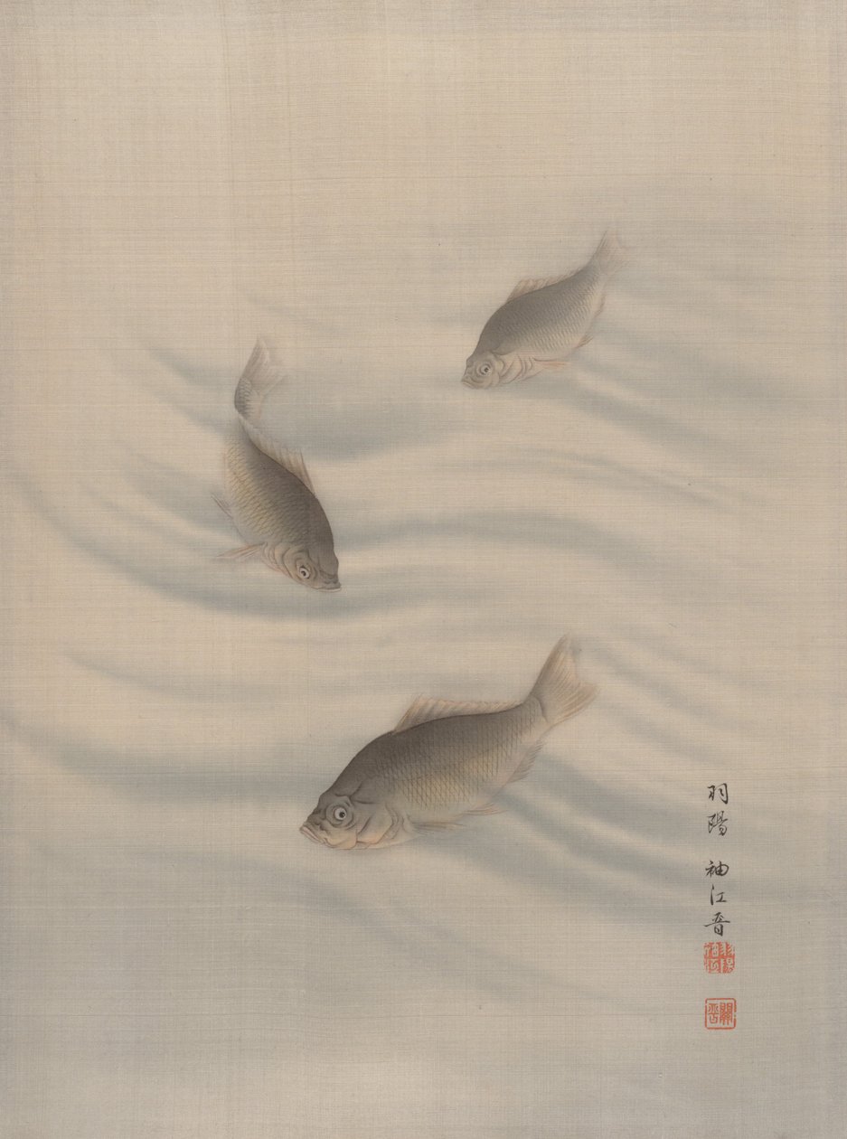 Fiskar Simning, ca. 1890-92. av Seki Shuko