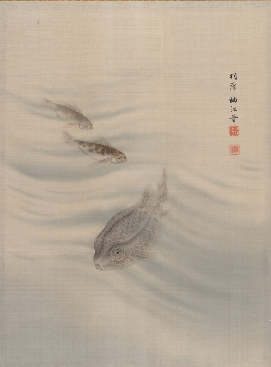 Fiskar, ca. 1890-92. av Seki Shuko