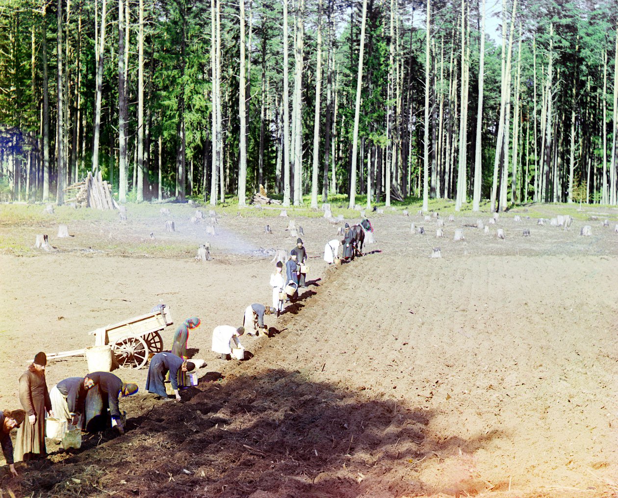 Munkar som planterar potatis nära Getsemane-klostret, Volgafloden, Ryska imperiet, 1910 av Sergey Prokudin Gorsky