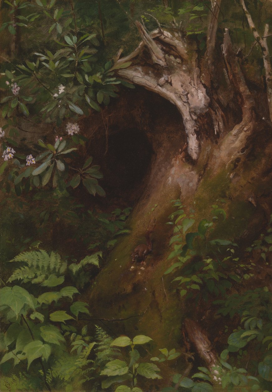 Ekorren av Seymour Joseph Guy