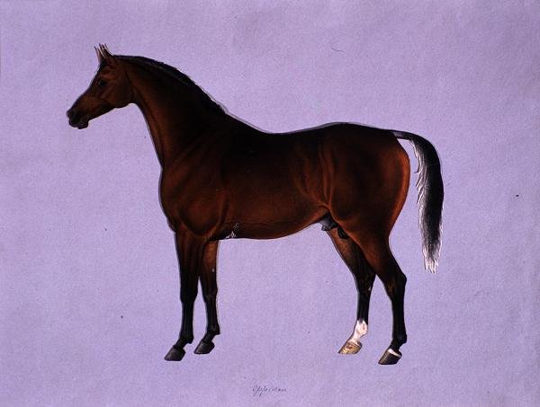 Oppidan, ca 1840 (akvarell på papper) av Shaik Muhammad Amir of Karraya