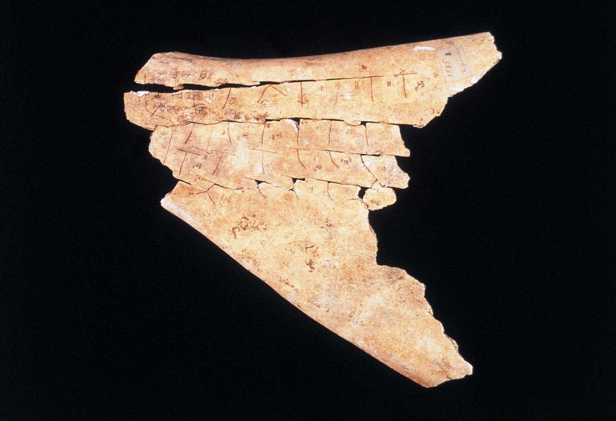 Piktogram på en oxescapula med en ritual för att avvärja fara (ben) av Shang Dynasty Chinese School