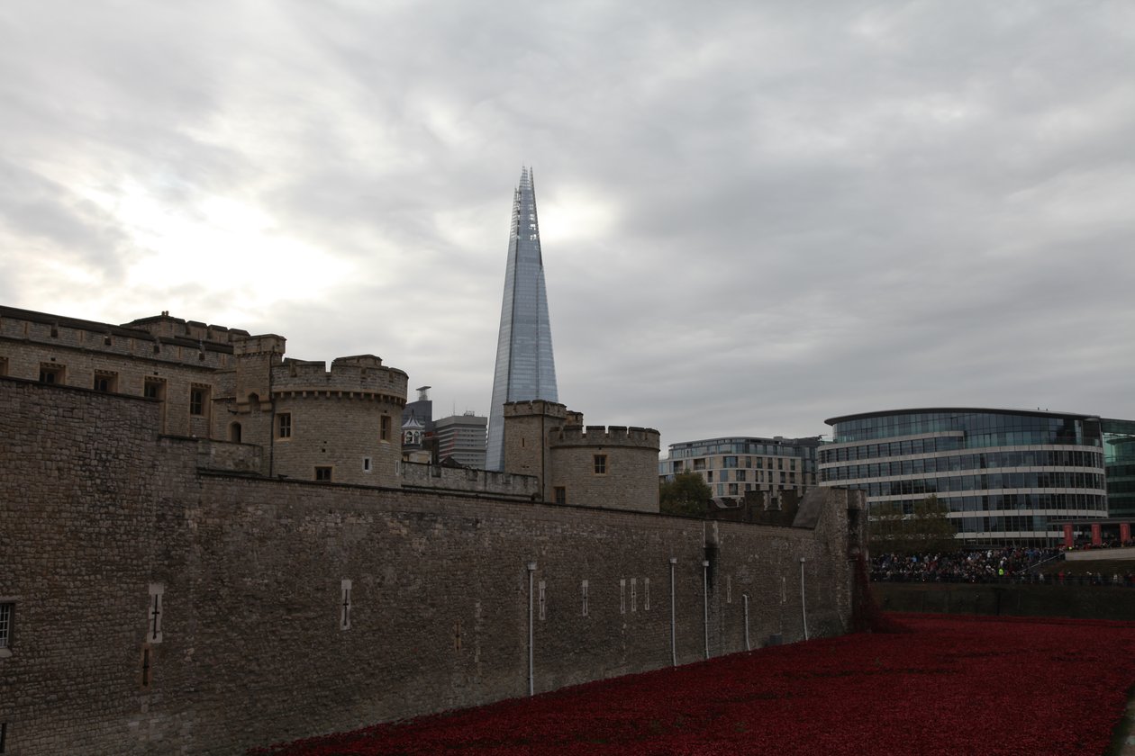 Blood Swept Lands and Seas of Red, Tower of London, 2014. av Sheldon Marshall