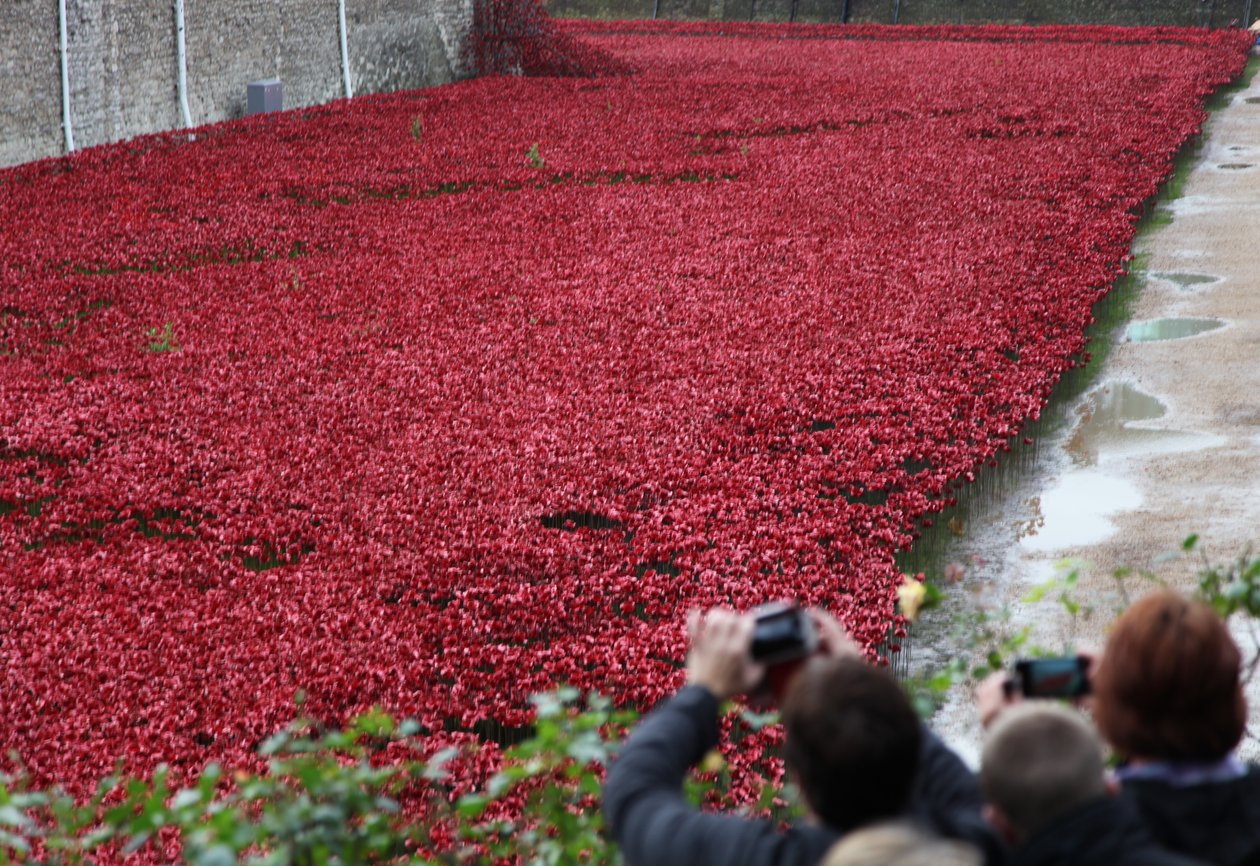 Blood Swept Lands and Seas of Red, Tower of London, 2014. av Sheldon Marshall