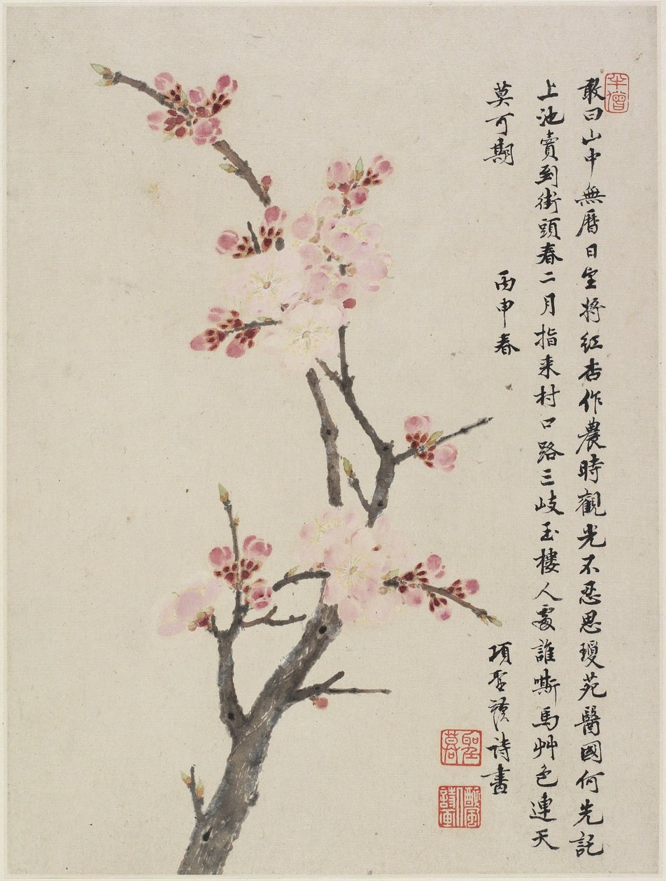 Album med tio blad, 1656 (bläck och färg på papper) av Shengmo Xiang