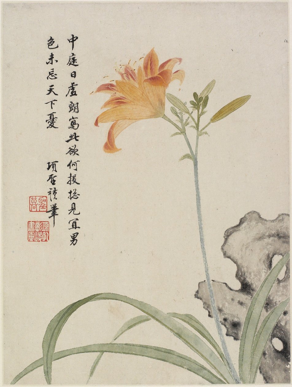 Daglilja från ett blomsteralbum med tio blad, 1656 (bläck och färg på papper) av Shengmo Xiang