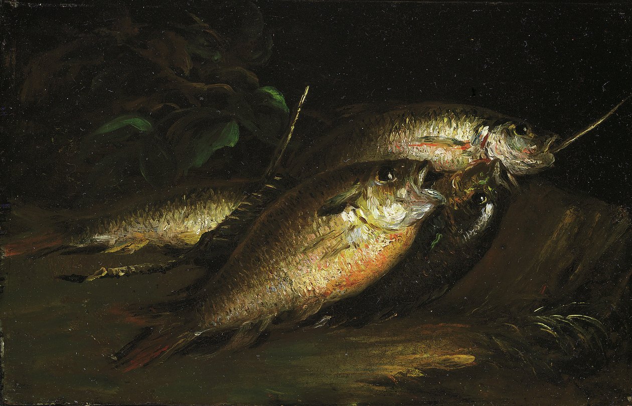 Fisk, 1842. av Shepard Alonzo Mount