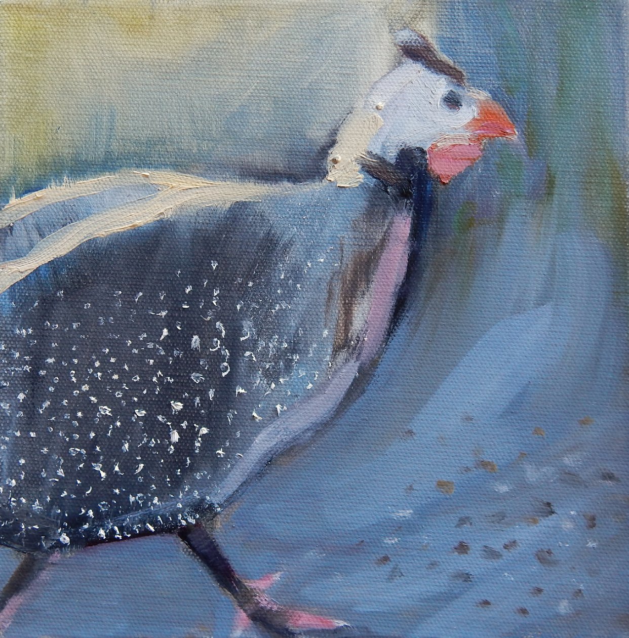 Pärlhöns fyra, 2014 av Sheri Gee