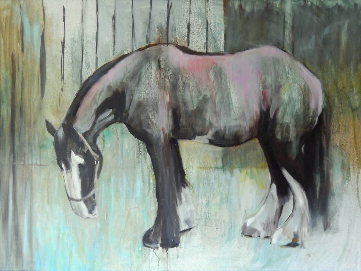 Morpheus i januari 2013 av Sheri Gee
