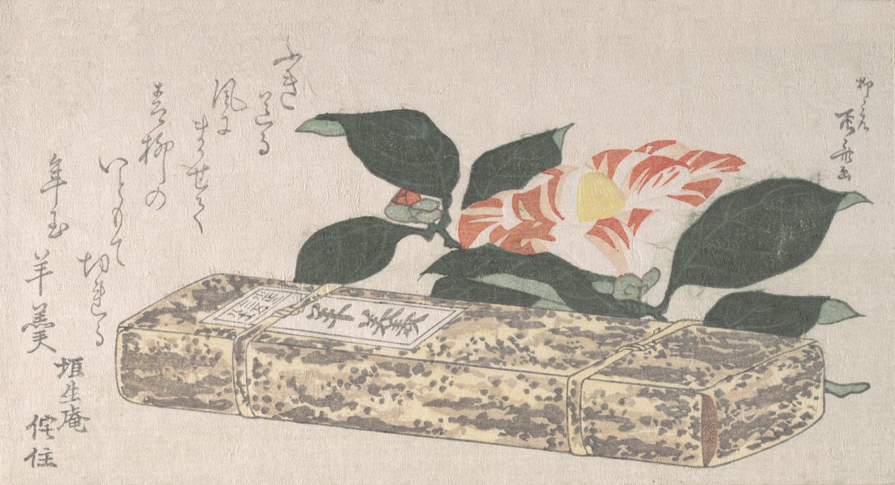 Camellia Flower och Yokan en sorts böngelé insvept i bambuskinn, 1811., 1811. av Shinsai