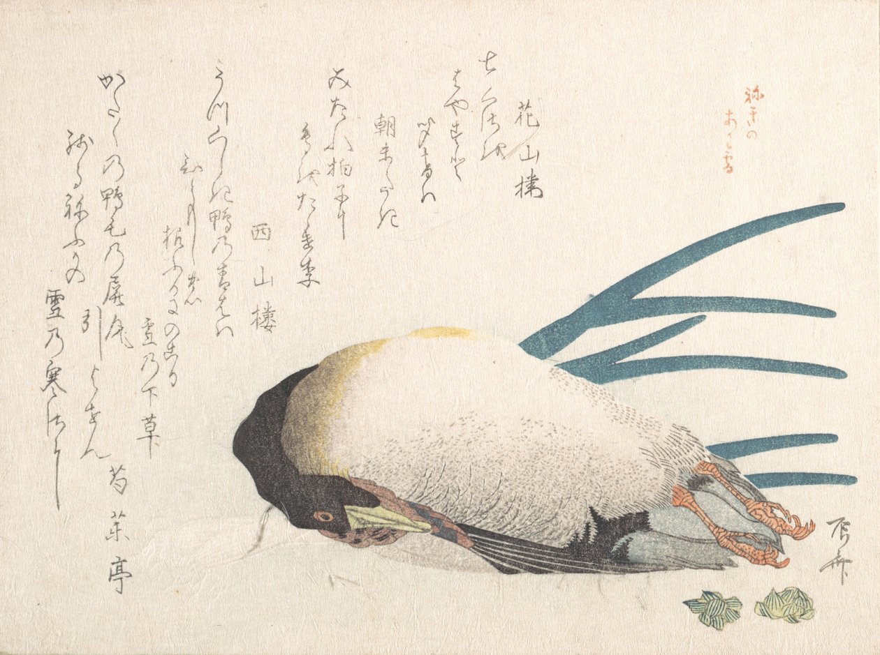 Spring Rain Collection Harusame shu, vol. 1: Anka och salladslök, 1810-talet, 1810-talet. av Shinsai