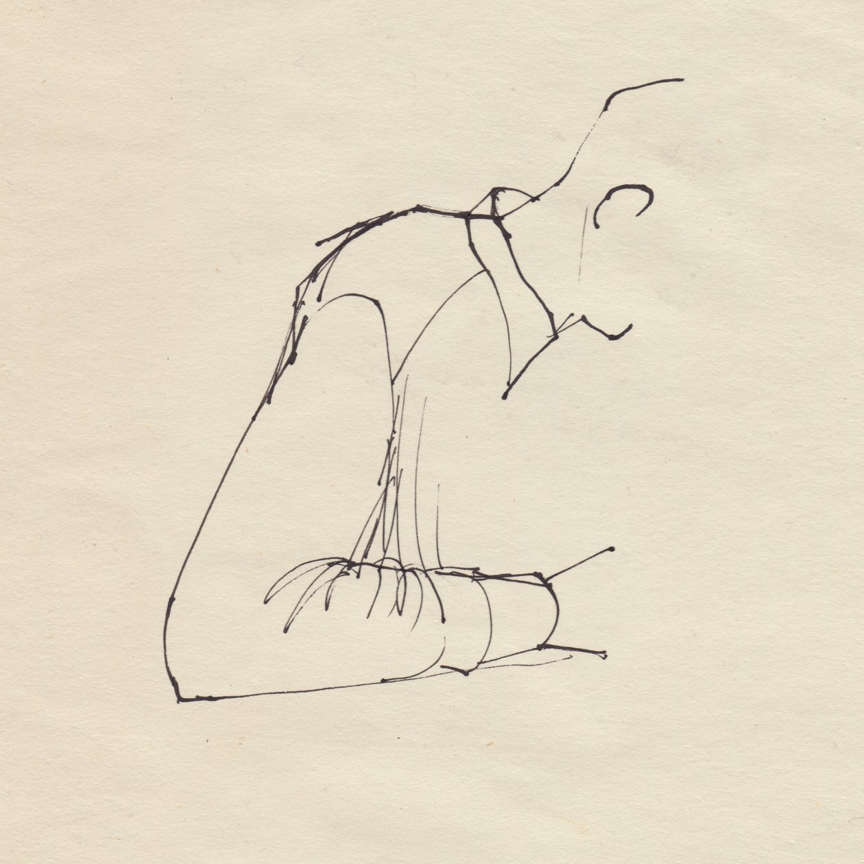 Mans arm, c1950. av Shirley Markham