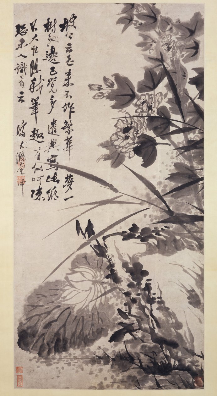 Hibiscus, Lotus och Rock, ca. 1705-7. av Shitao