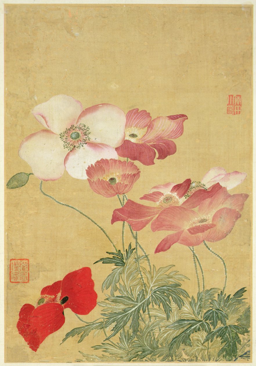 Bild från Album of Flower Paintings (akvarell) av Shouping Yun