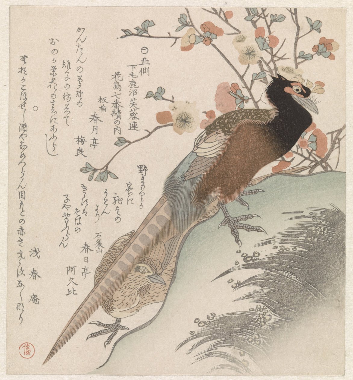 Fasaner framför en blomgren Sju bilder av fåglar och blommor för Fuyôren poet Society of Kanuma från Shimotsuke-provinsen (serietitel) Yamagawa Shimotsuke Kanuma Fuyôren kachô shichiban tsuzuki no uchi (serietitel på objekt) av Shunman