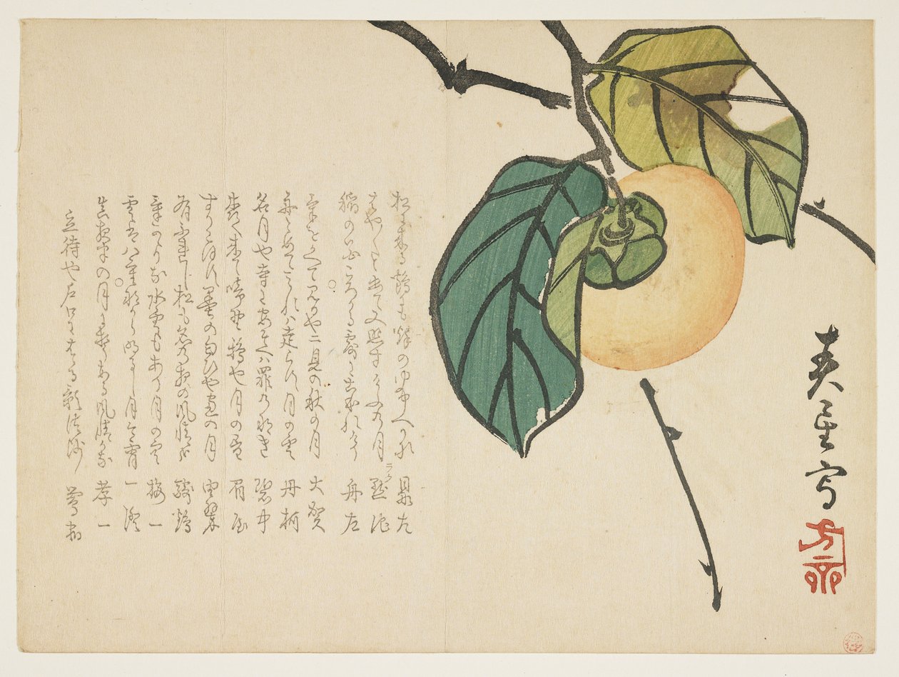 Persimmon, ca 1854-59 (träblock i färg) av Shunsei