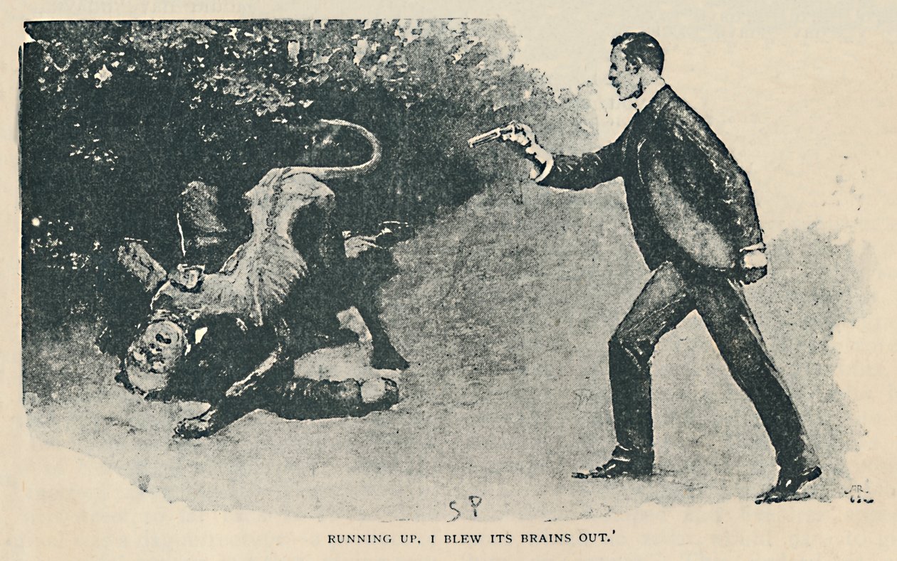 Springer upp. Jag blåste ut sina hjärnor, 1892 av Sidney Paget