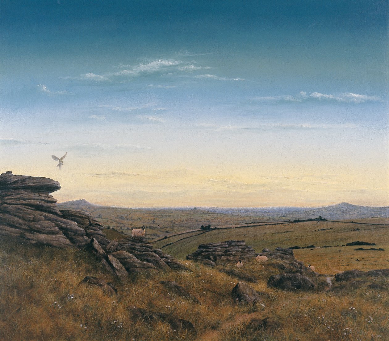 Kvällshimmel av Simon Cook