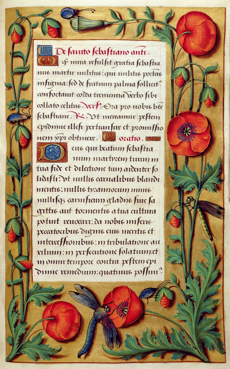 Lägg till 18855 f.103 Vallmo och trollslända, från en timbok, c.1540 (vellum) av Simon Bening