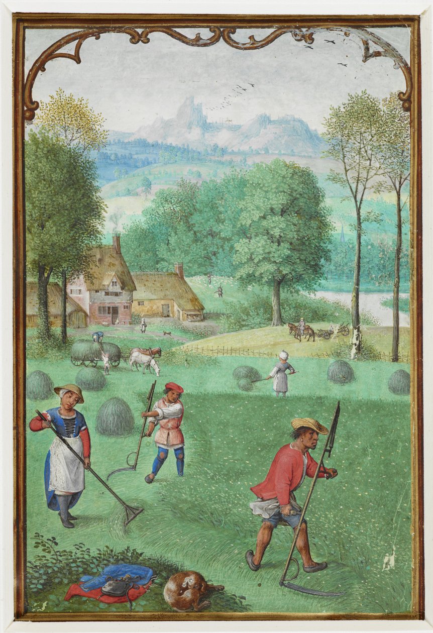 Lägg till MS 18855 f.109v juli: skörd, sådd, från en timbok, c.1540 (vellum) av Simon Bening
