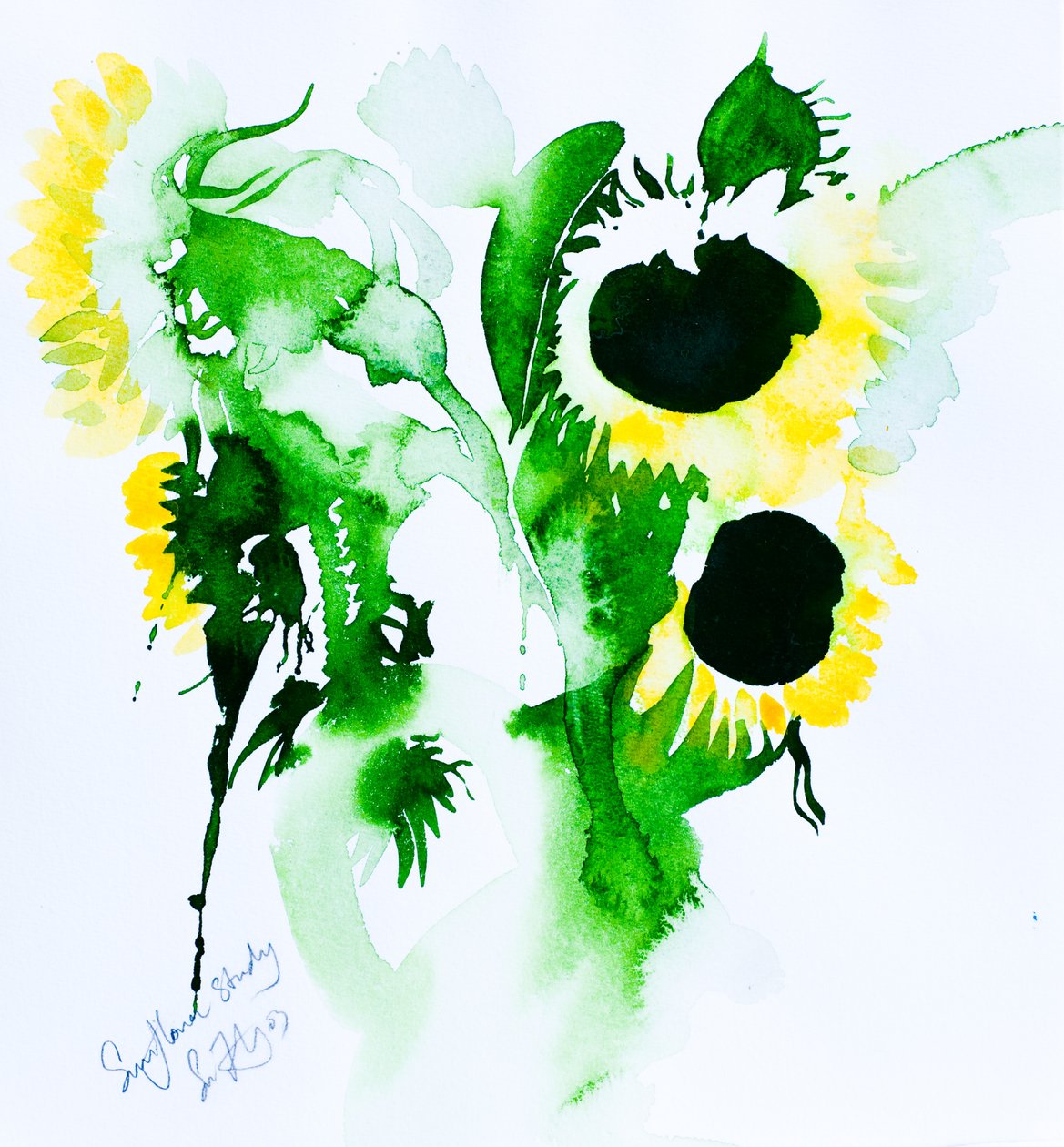 Studie av solrosor, 2005 (akvarell) av Simon Fletcher