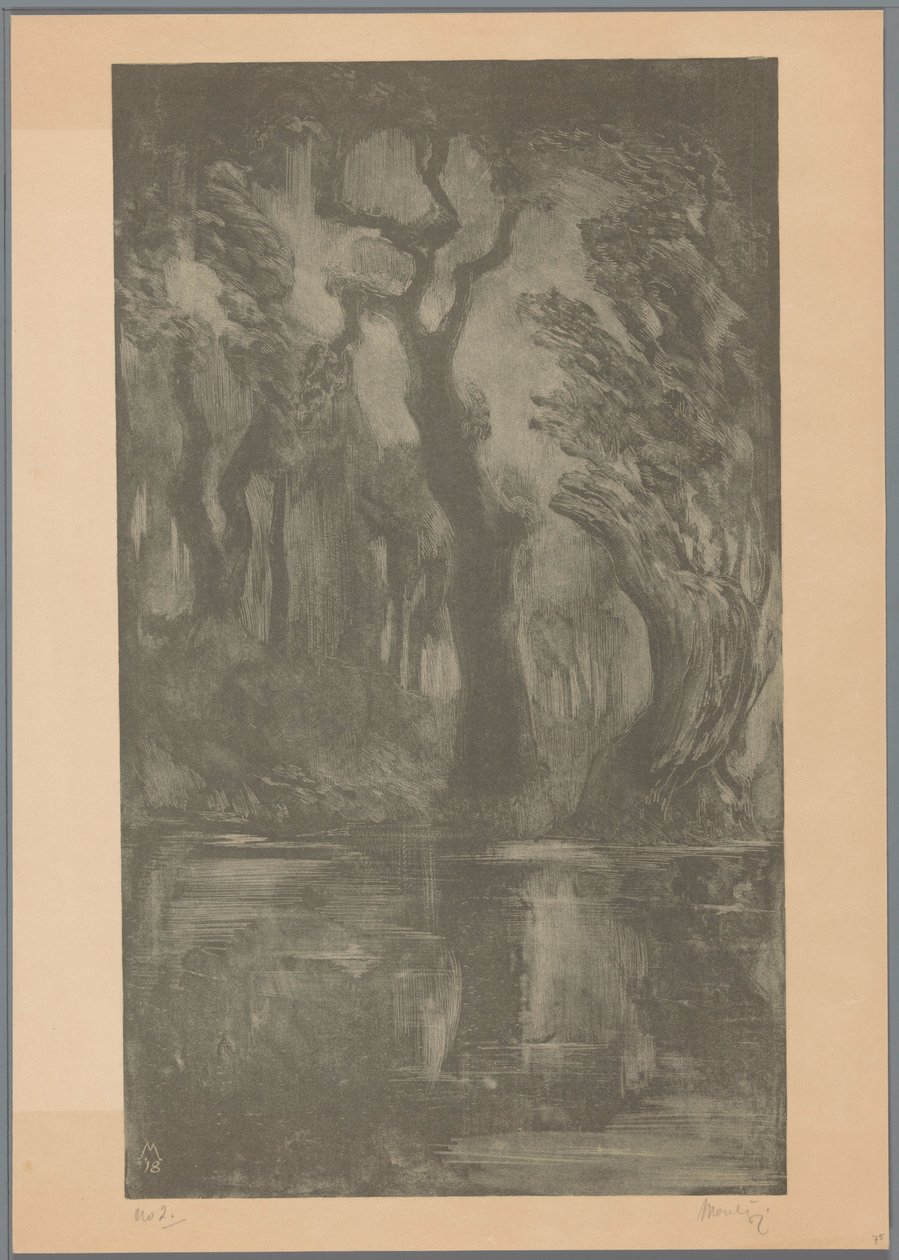 Vatten i skogen Dream Forest (originaltitel) av Simon Moulijn (signed by artist)