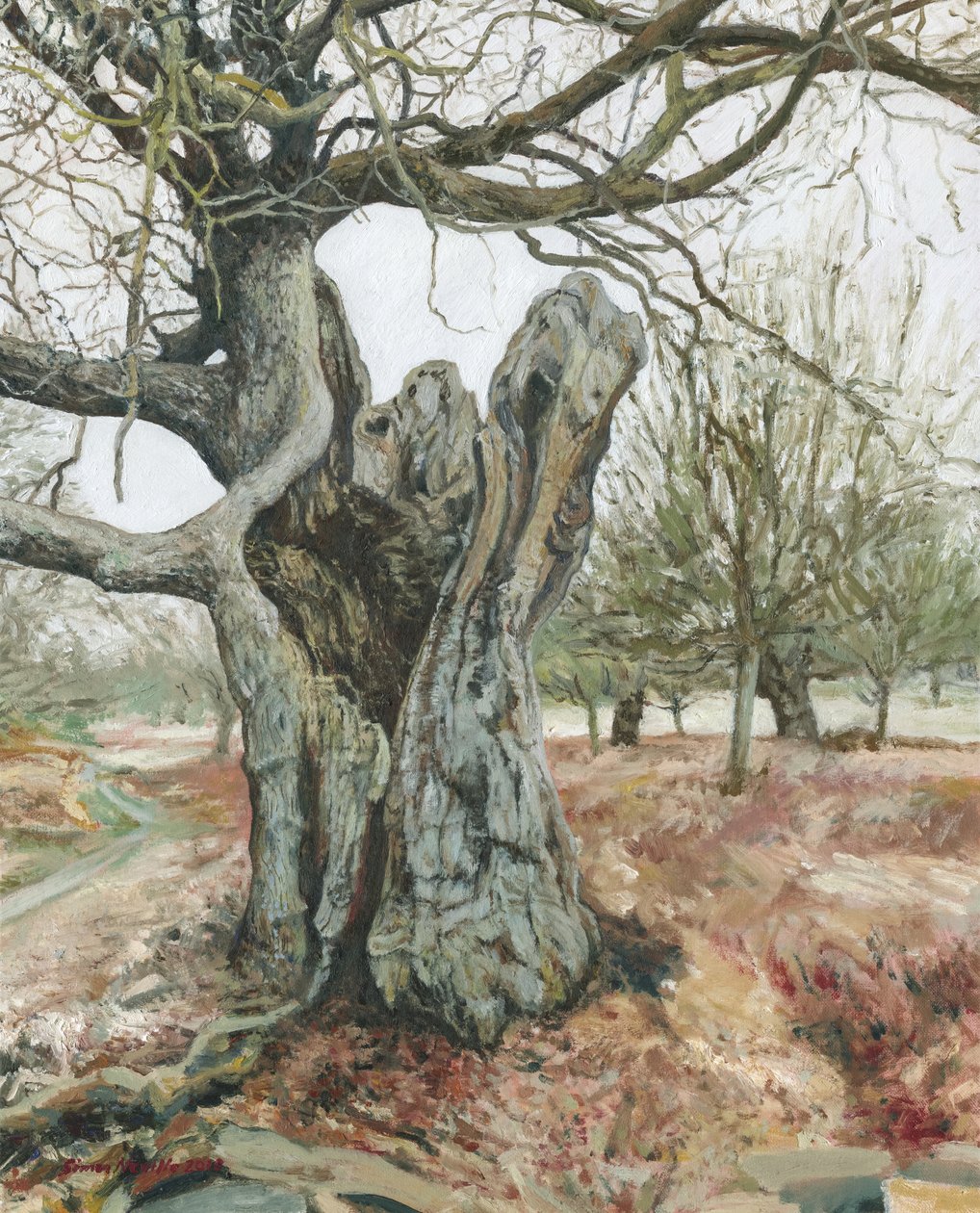 Gammalt träd, Richmond Park, 2018 (olja på linne) av Simon Neville