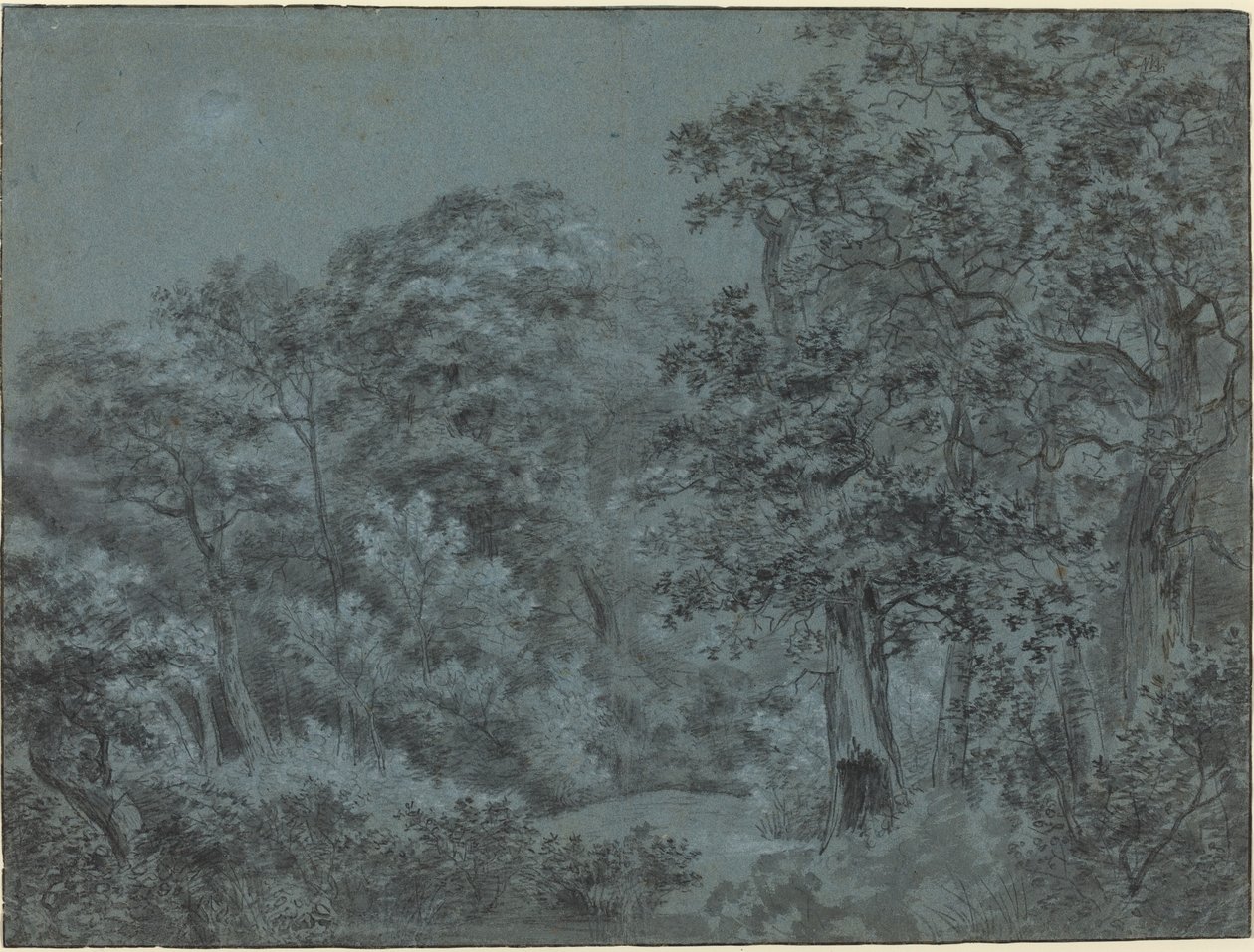 I Haagskogen av Simon de Vlieger